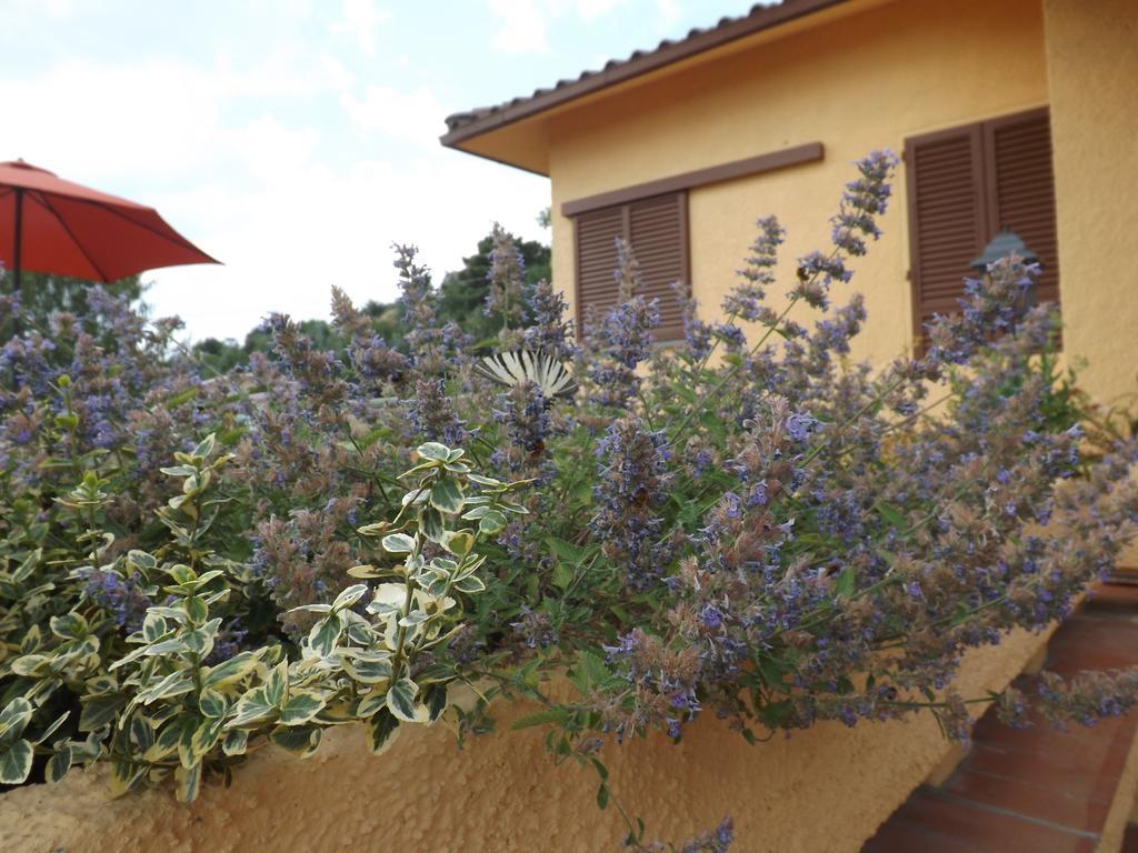Rifugio Al Sole Villa Reggello Ngoại thất bức ảnh