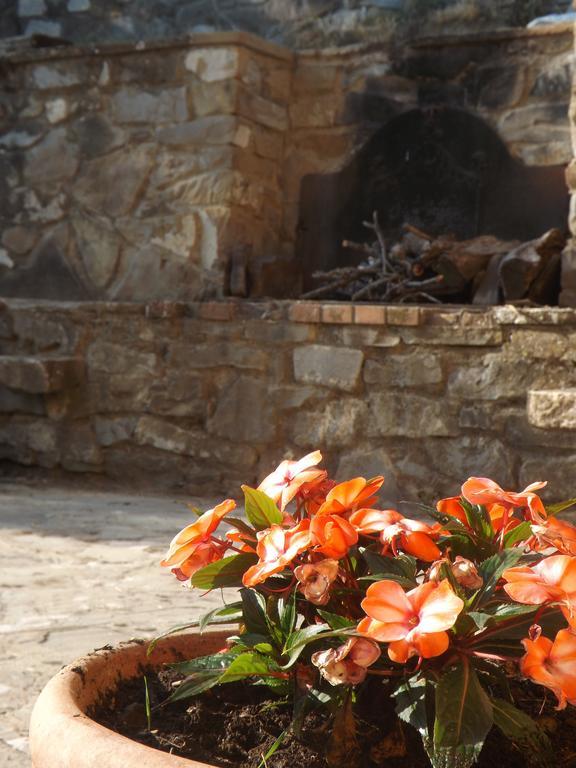 Rifugio Al Sole Villa Reggello Ngoại thất bức ảnh